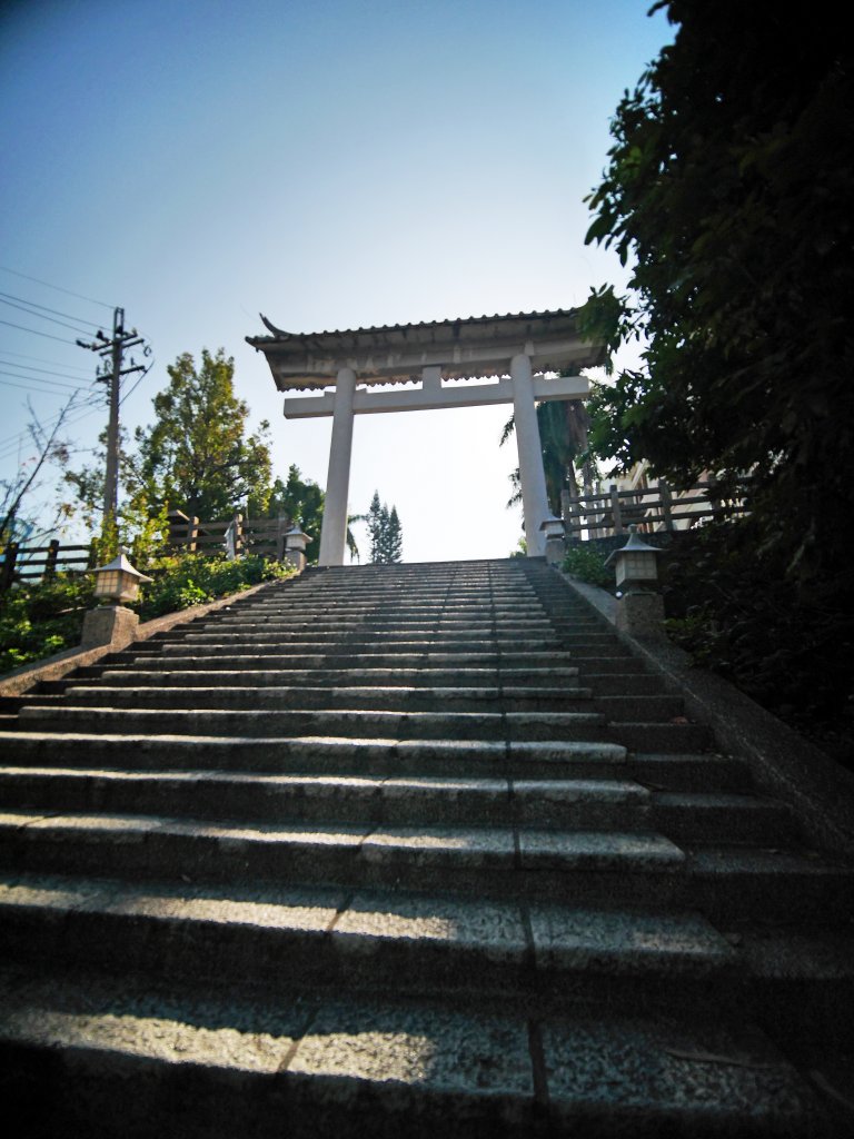 龍過脈森林步道_1270866