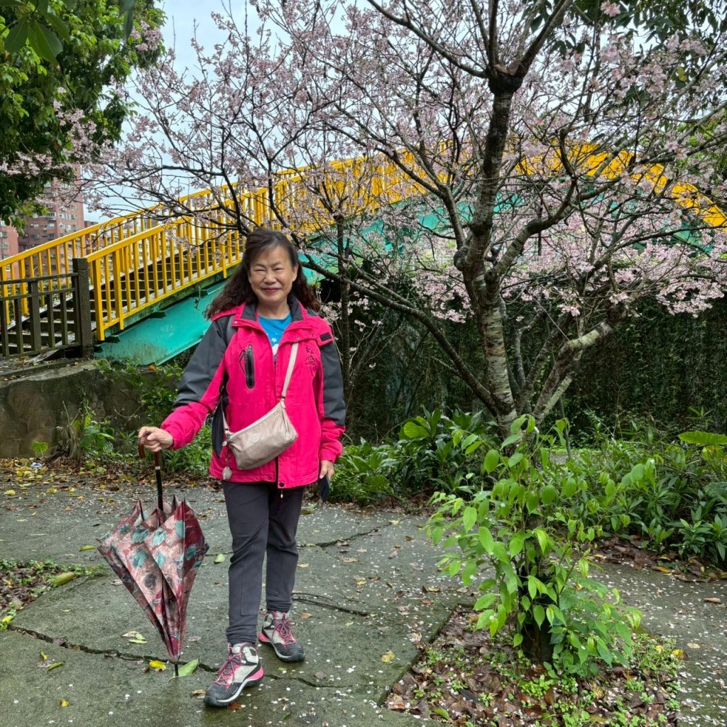東湖樂活公園→內溝溪步道→五分埤生態濕地→內溝溪生態展示館、花博公園圓山園區→撫順公園_3031633