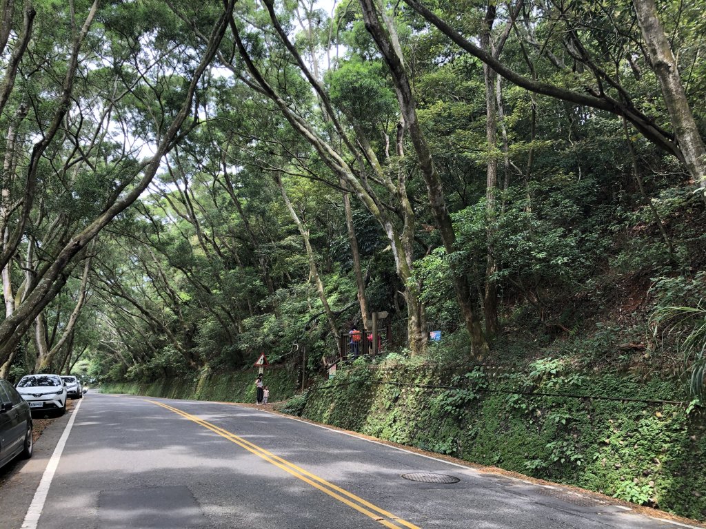 台灣小百岳No.048 橫山_1102149