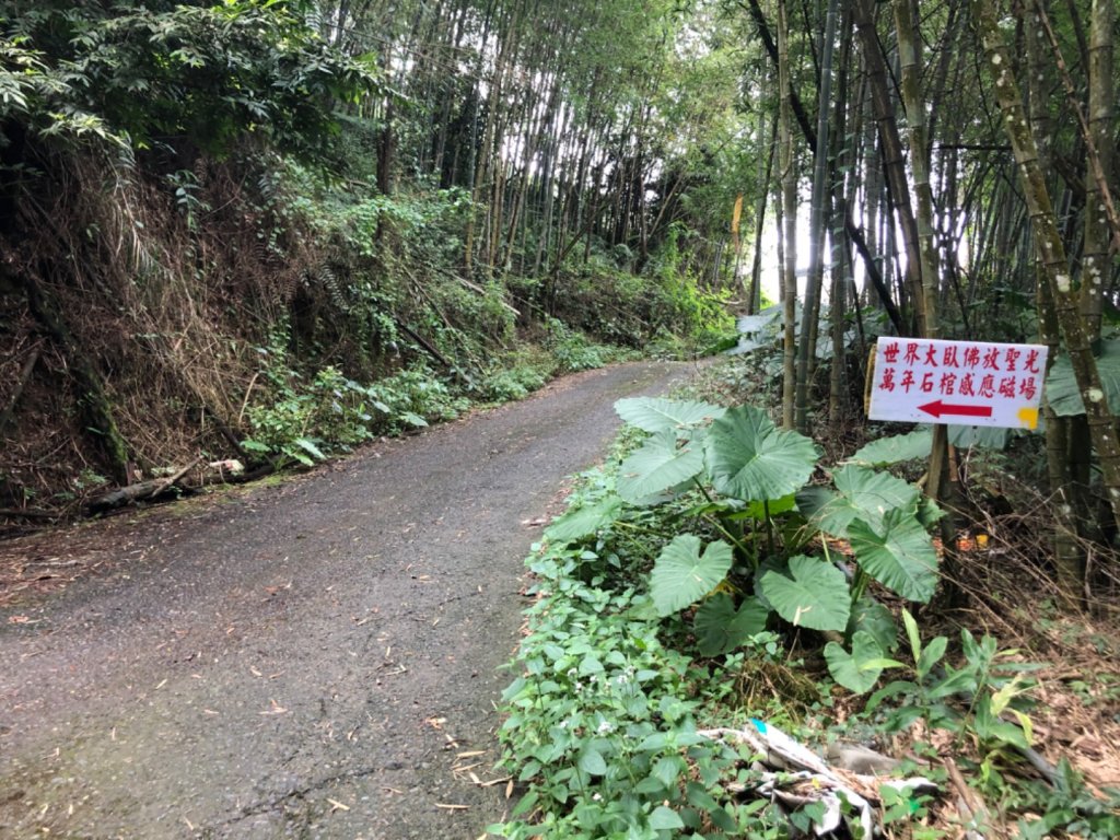 交力坪車站走交力坪山、佛光石、篤鼻山_1106555
