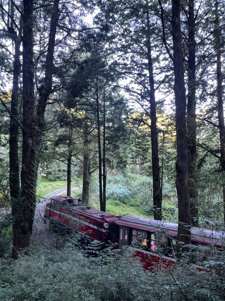 小百岳(59)-大塔山-20220925_1878622