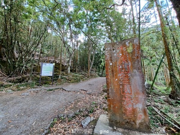 【台南白河】雞籠山+九龍山+大凍山O繞縱走_2797118