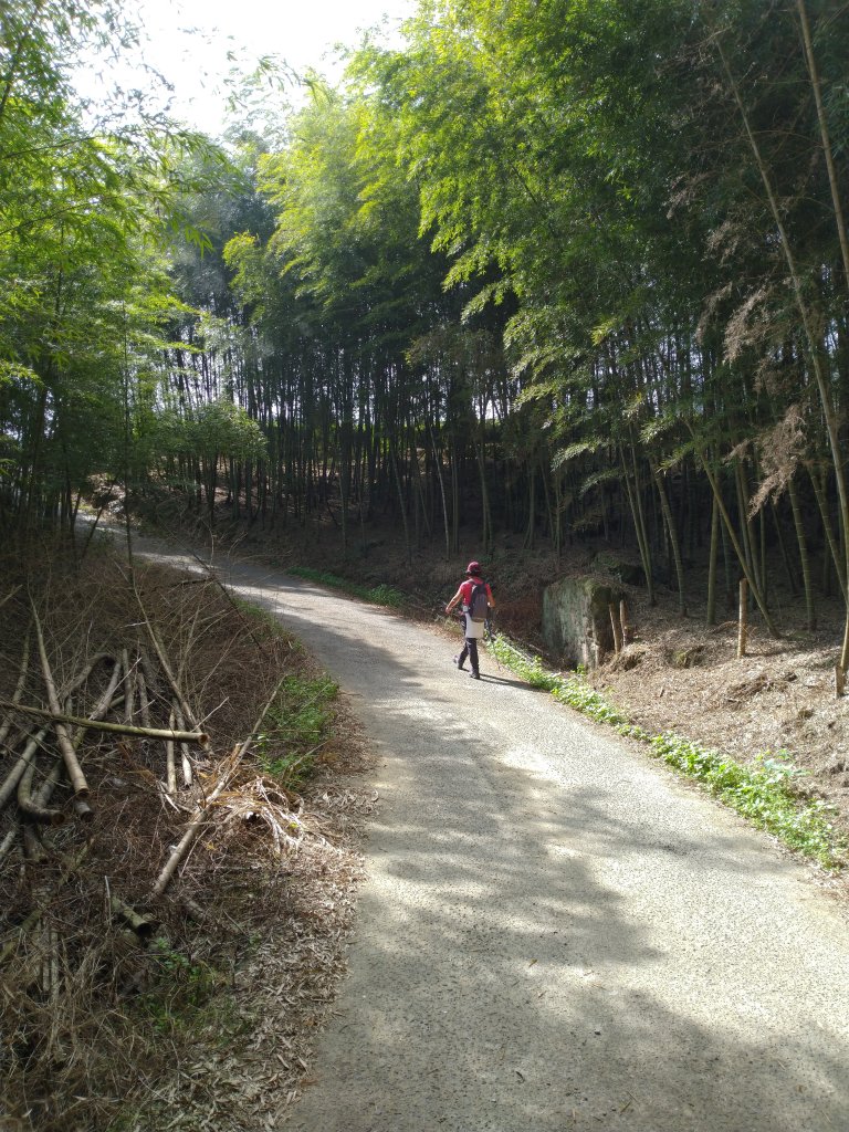 2020-2021 後棟仔 大尖山 二尖山_1527132