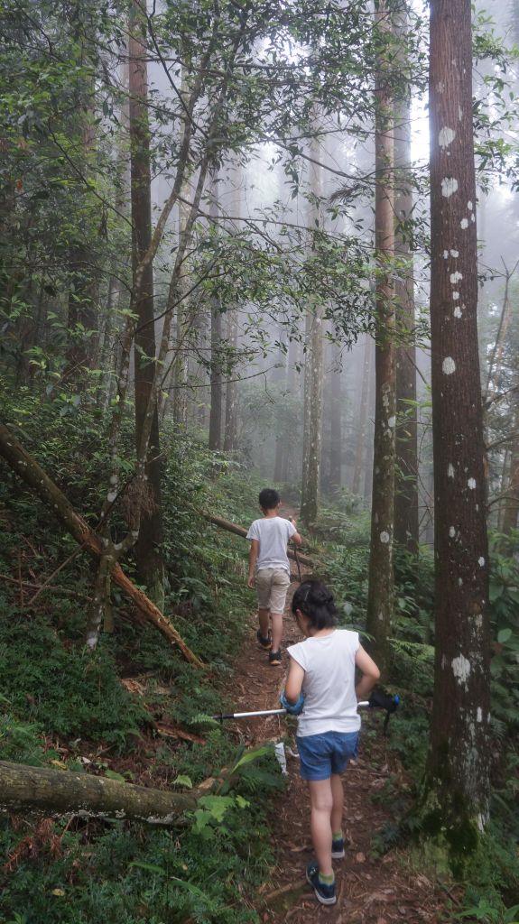 向天湖山之趣_399998