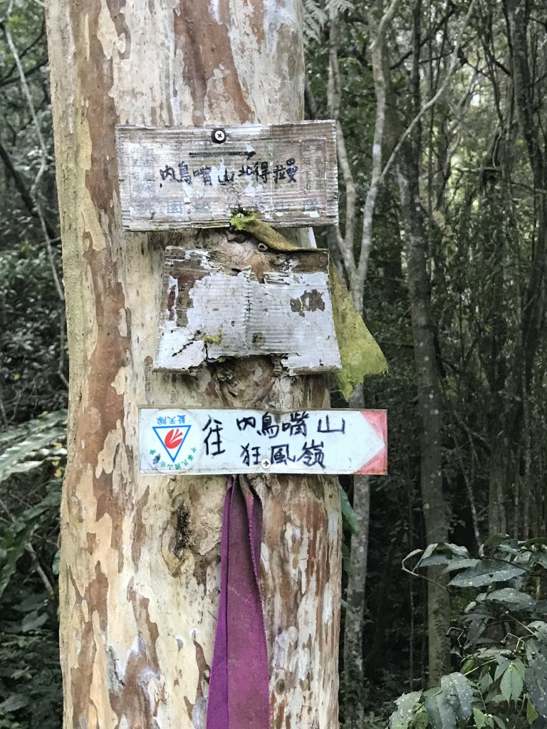 內鳥嘴山→ 那結山→ 外鳥嘴山 O形縱走_1261854