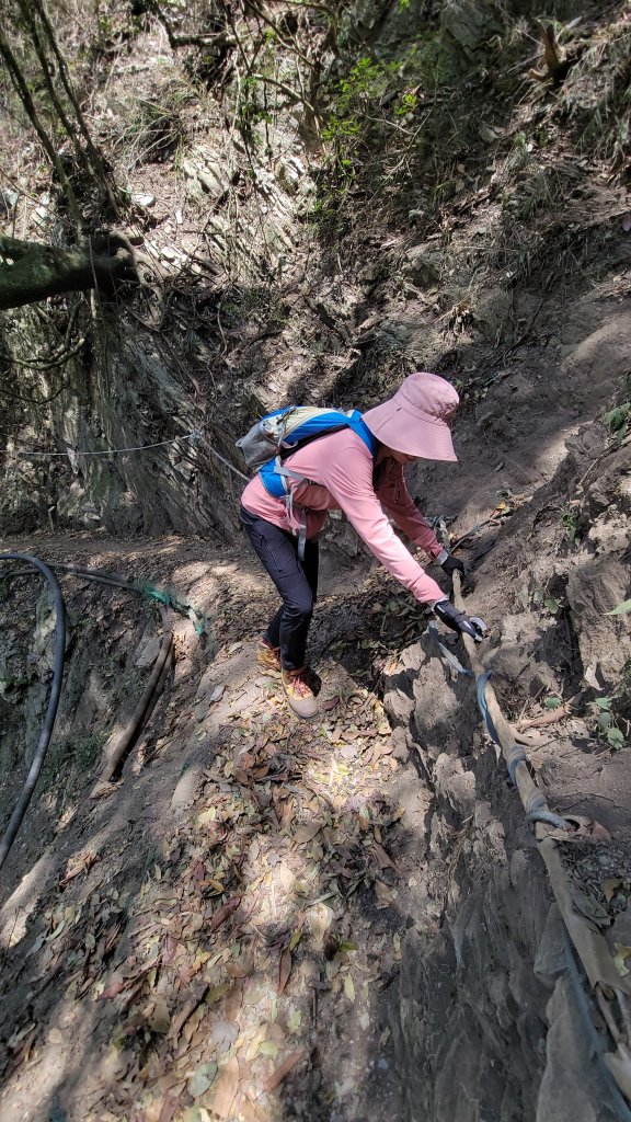 【南投 | 八通關古道】美到讓時間都靜止了_1340917