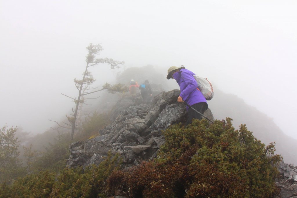 [花蓮中級山] 砂卡噹三雄 清水大山_894287