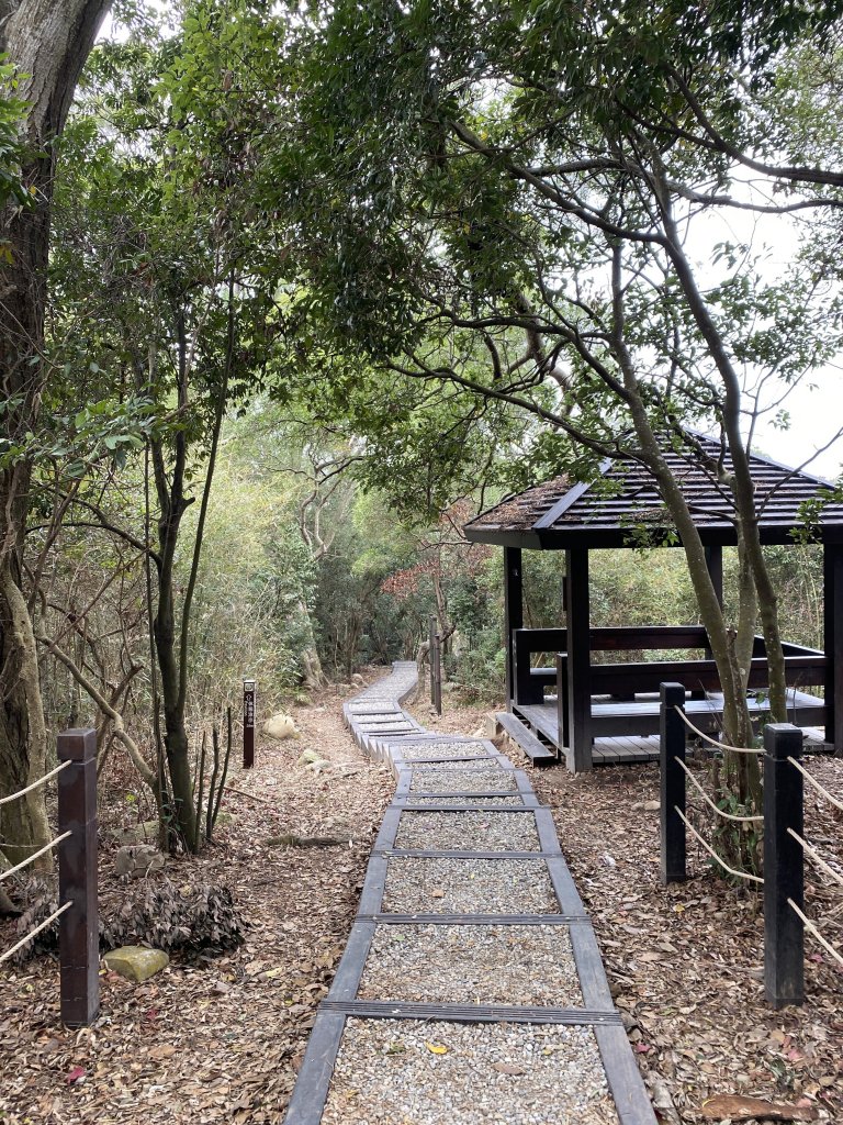 小百岳-大坑頭嵙山_986484