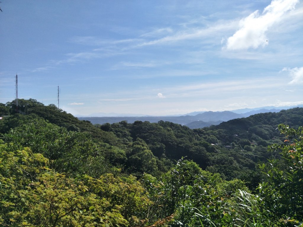 飛鳳山、觀日坪古道_1750095