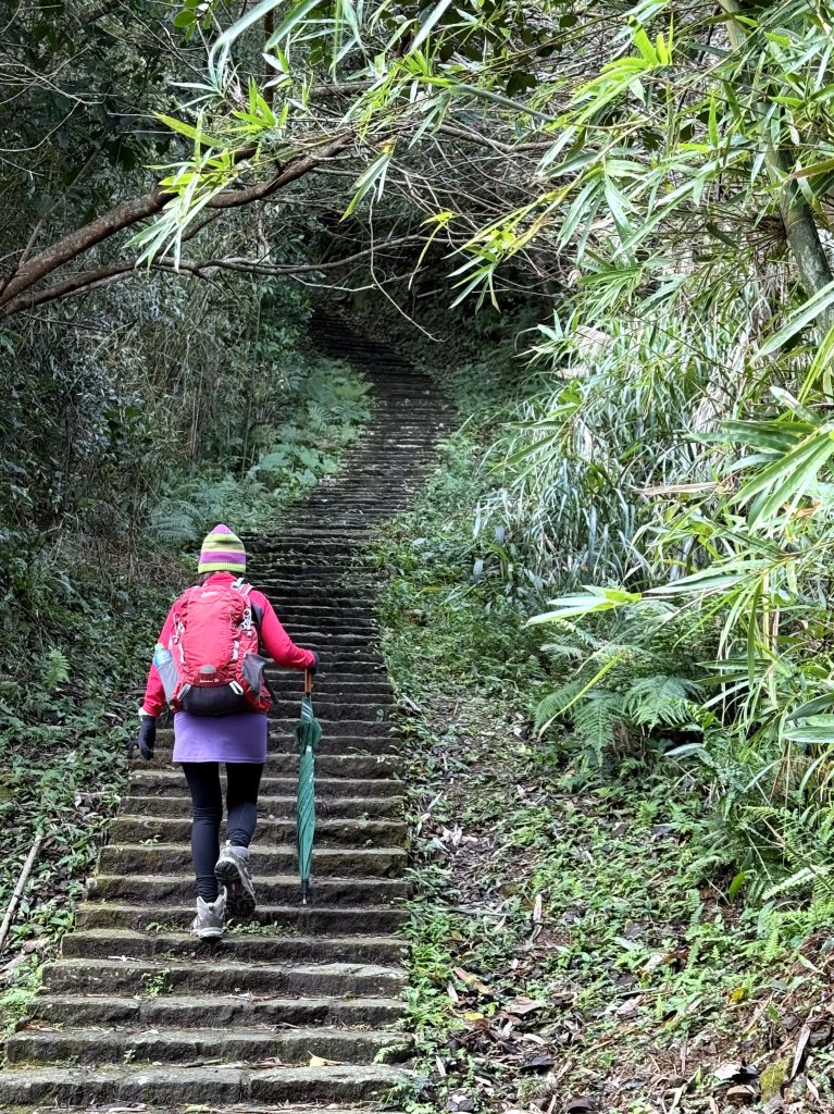 大山背山+騎龍山O繞2025.12.28_2979470
