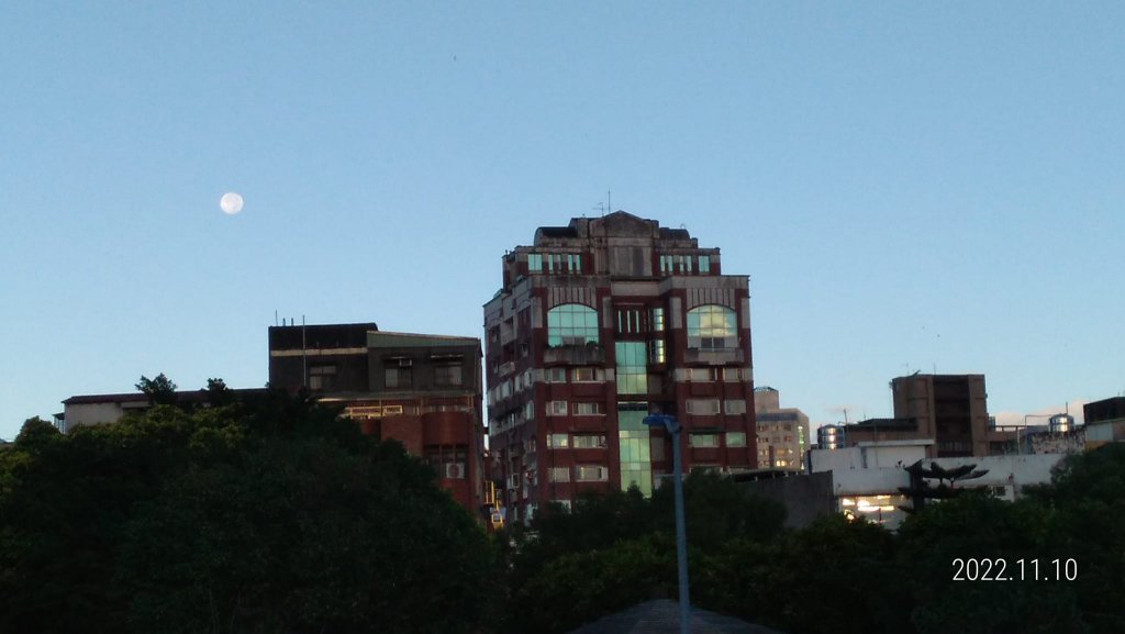 2022愛戀關渡花現幸福_1905770