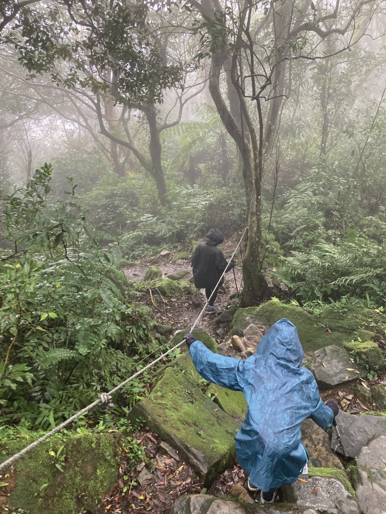 獅仔頭山登山步道_2437092