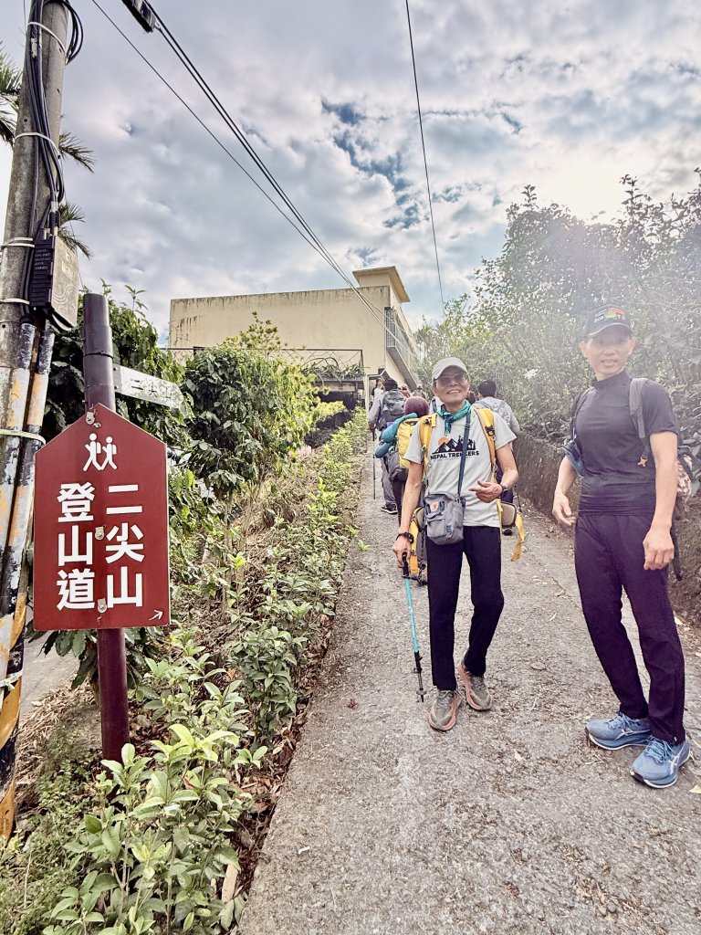 二尖.大尖山悠遊--好友再聚的茶園餘韻   2026.01.18封面圖