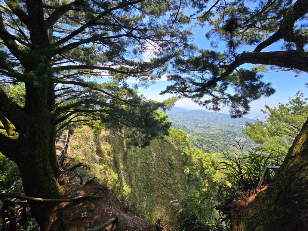 台中大坑頭嵙山區1號／5-1號5號步道黑松亭順訪二嵙山_2748359