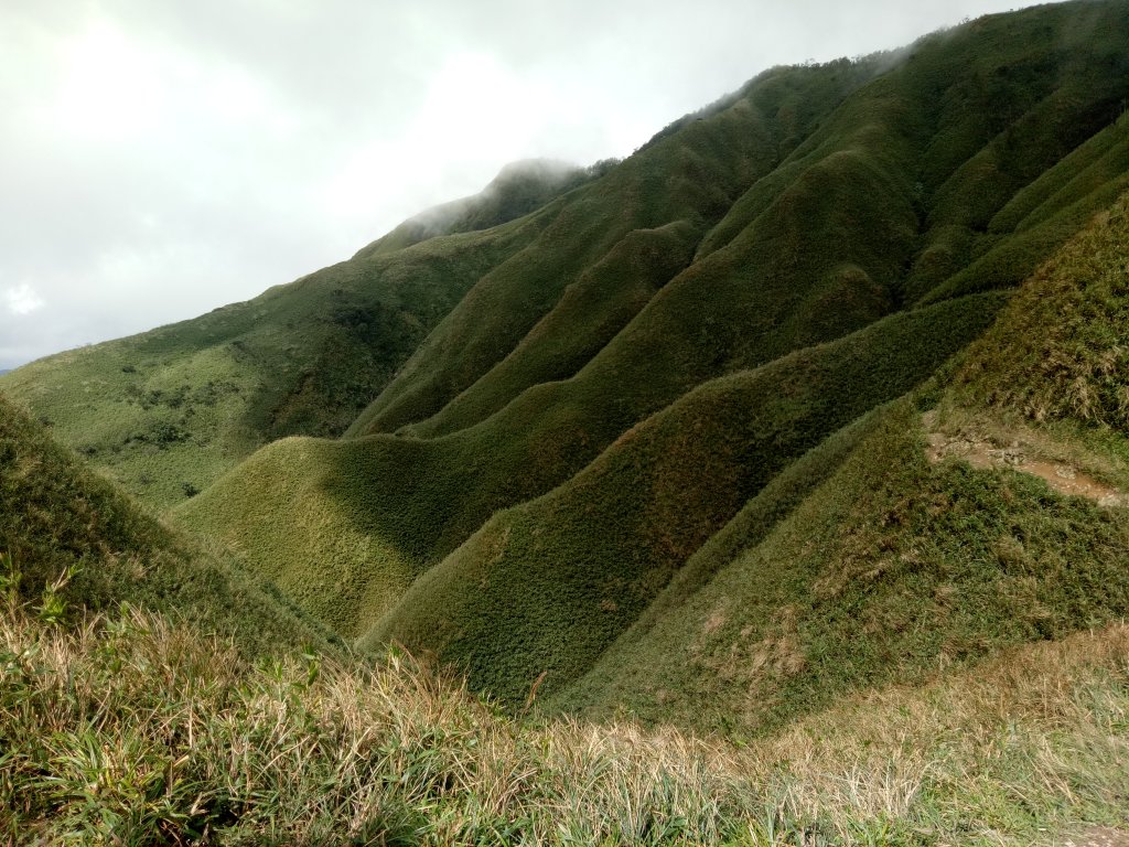 聖母步道上抹茶山+三角崙山_1920292