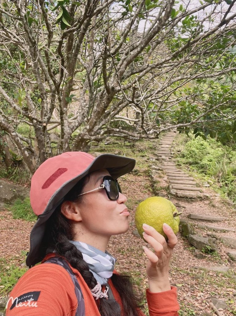 錐鹿古道_2644278