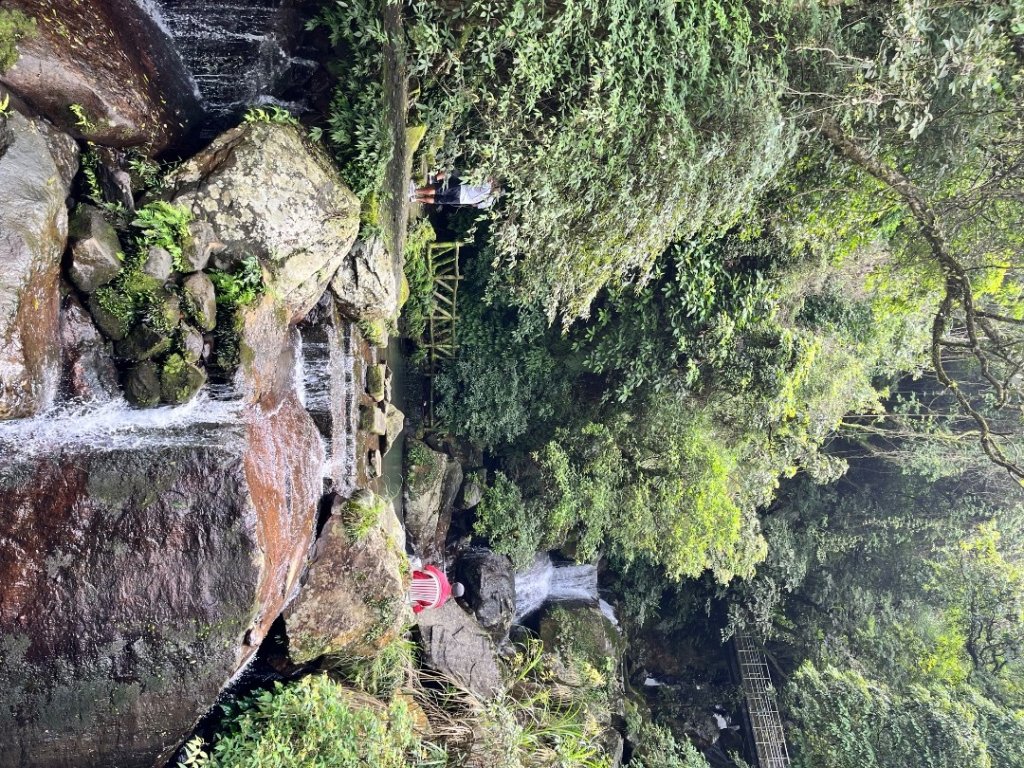 20250525_鳳凰山步道（南投小百岳）_2855894