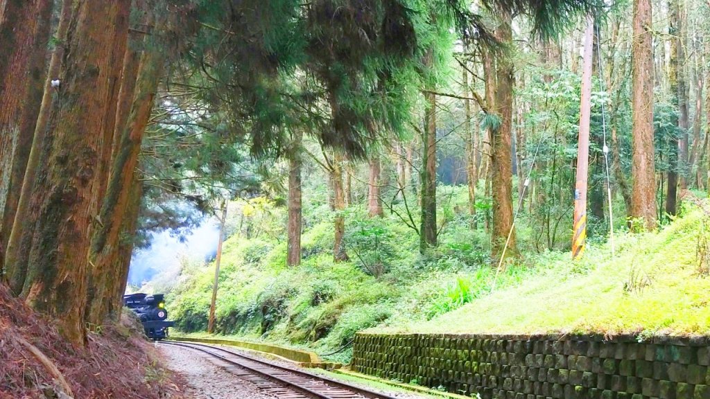 消失眠月線 檜木林百年蒸氣火車行駛_911562