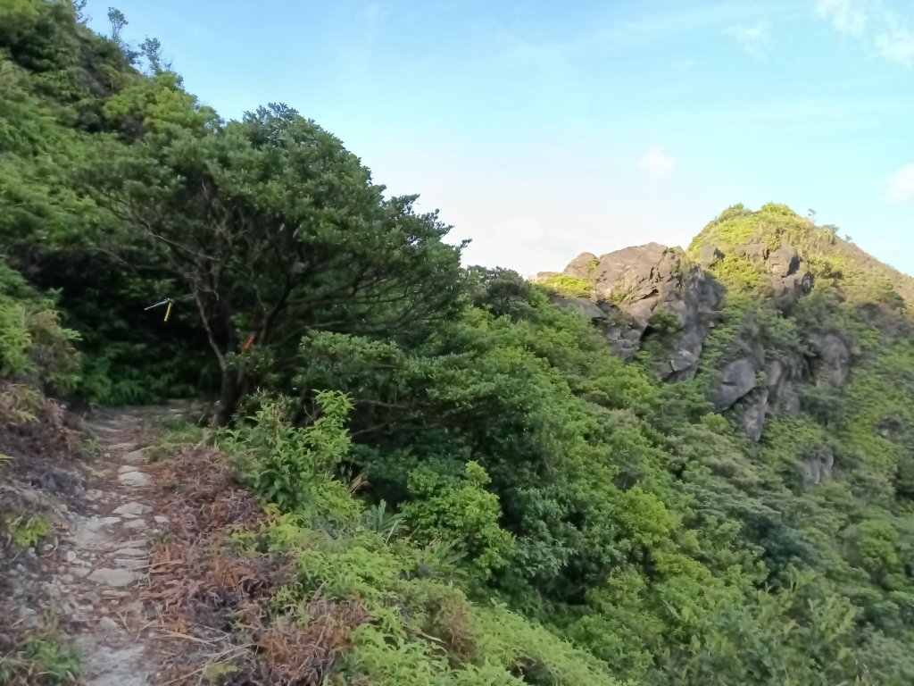 瑞芳區驚險驚嚇+短暫迷途的半屏大瀑布(瀑布稜)+小錐麓古道_2886201