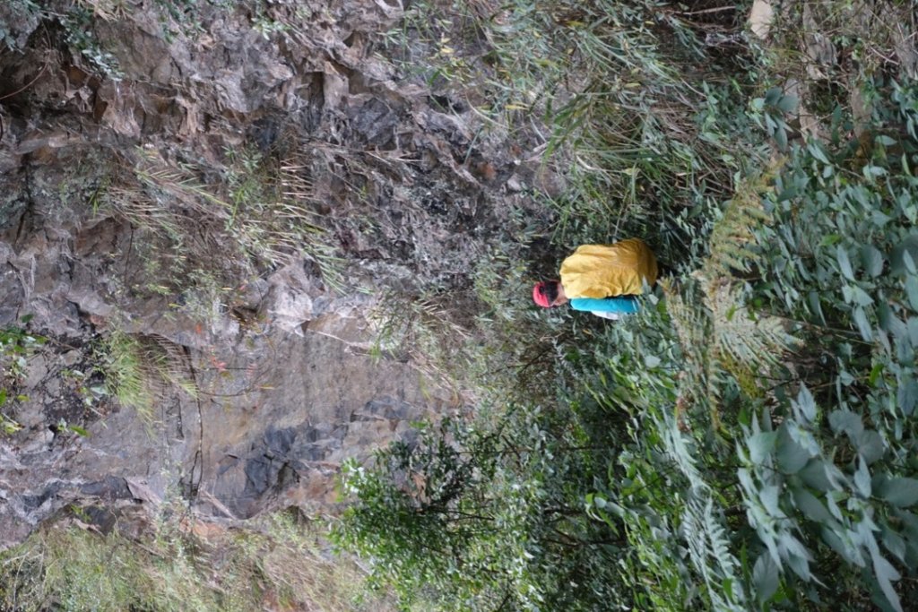 小鬼湖林道上亞泥迪山_1276877