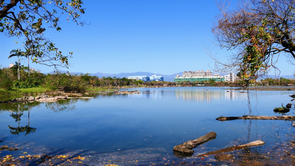 羅東運動公園_2690157