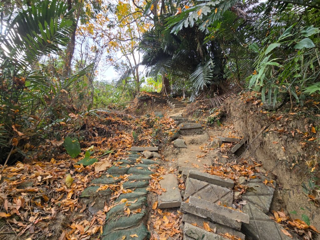 風空子山_2983208