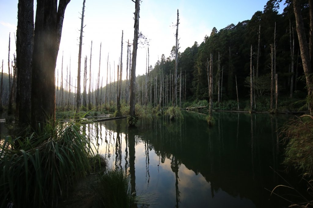 水樣森林 第一次在山裡過夜_658915