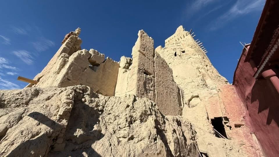 西藏♥️可愛動物🐎人物寫真/拉薩旅拍/美食_2911684