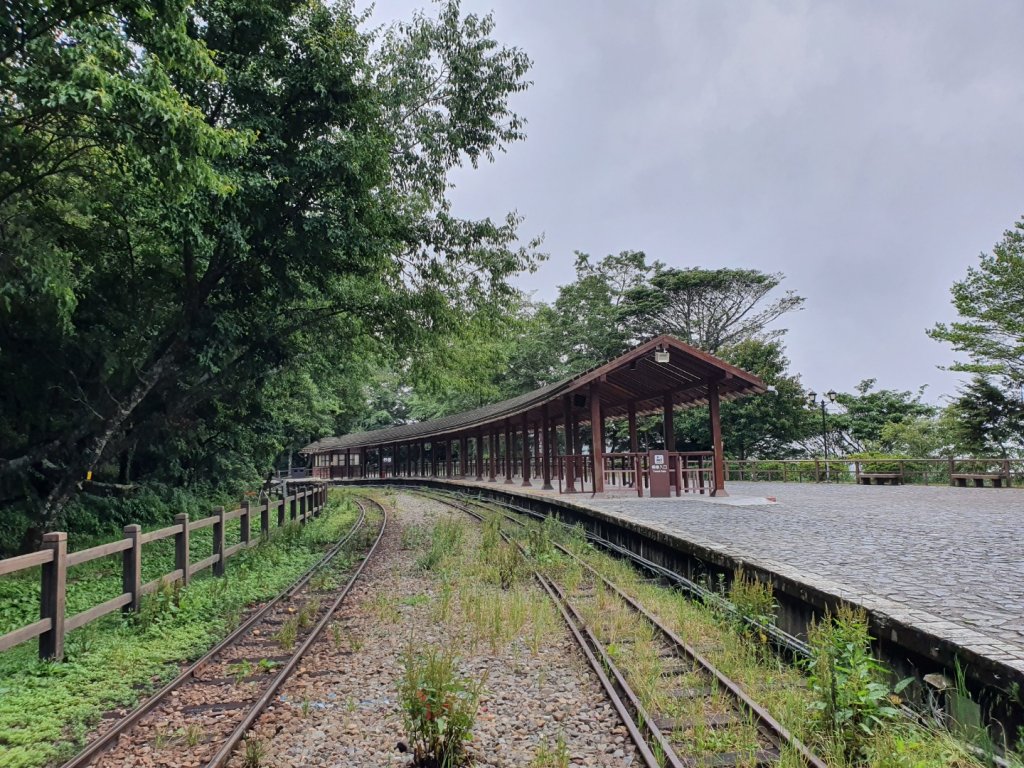 對高岳步道封面圖