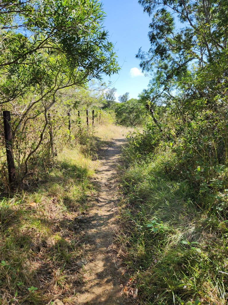 114/1/4國境之南：恆春大縱走_2687299