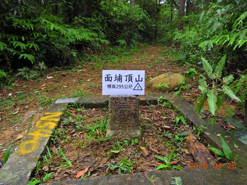 新竹 關西 面埔頂山封面圖