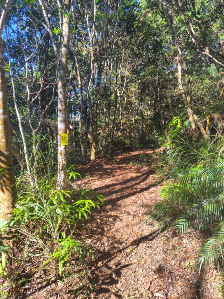 守關山南峰 守關山 守城大山_2919136