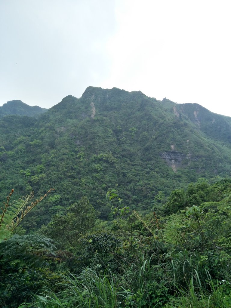 草嶺古道_1788006