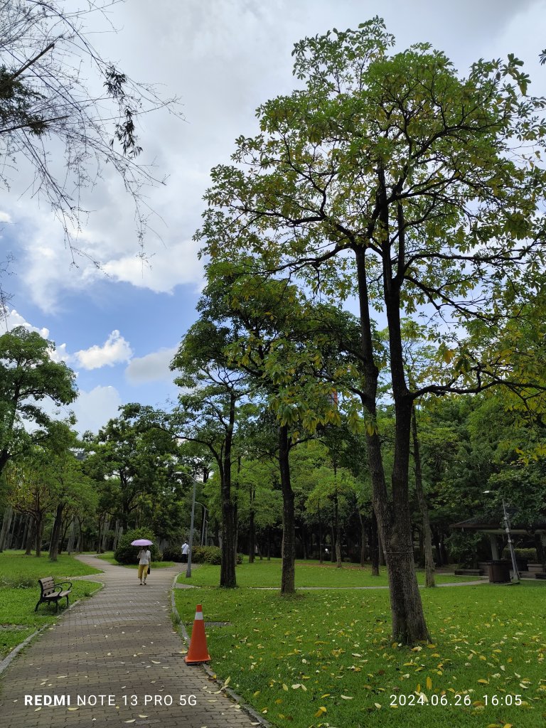 大安森林公園【走路趣尋寶】【臺北健走趣】_2536265