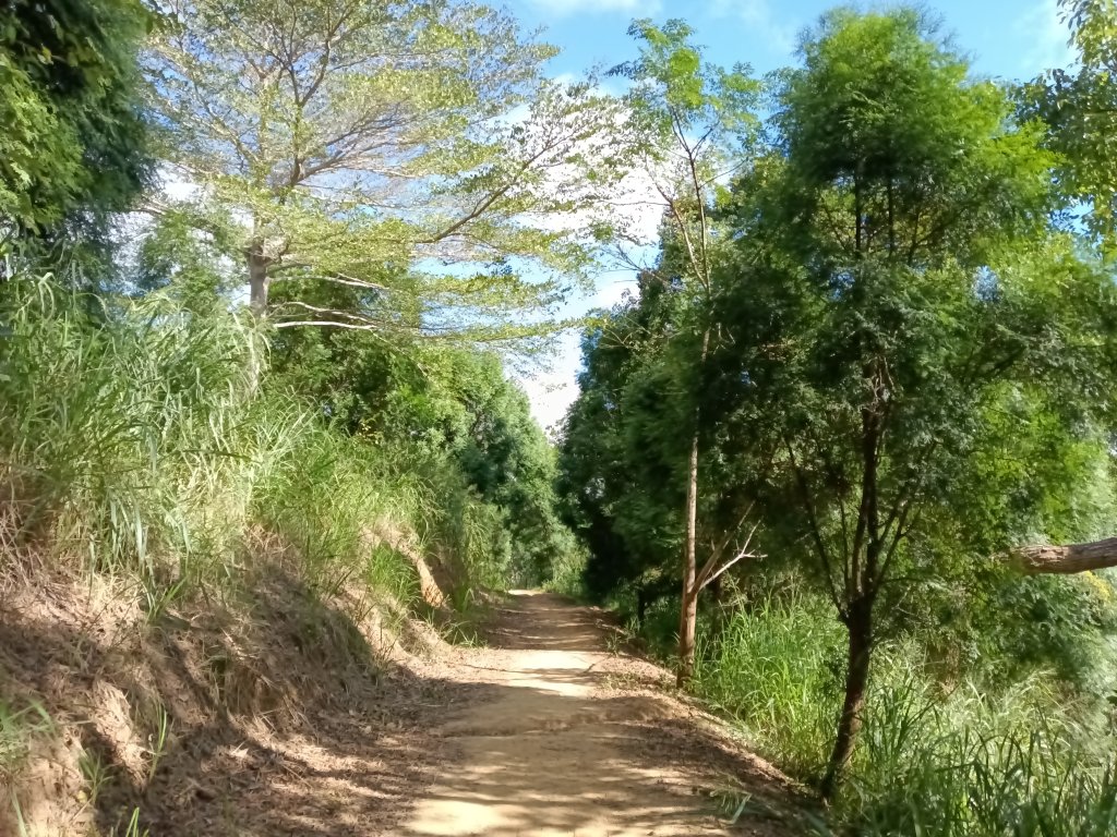 造橋鄉口山步道(老庄山+菜瓜窩山+造橋口山)_2933737