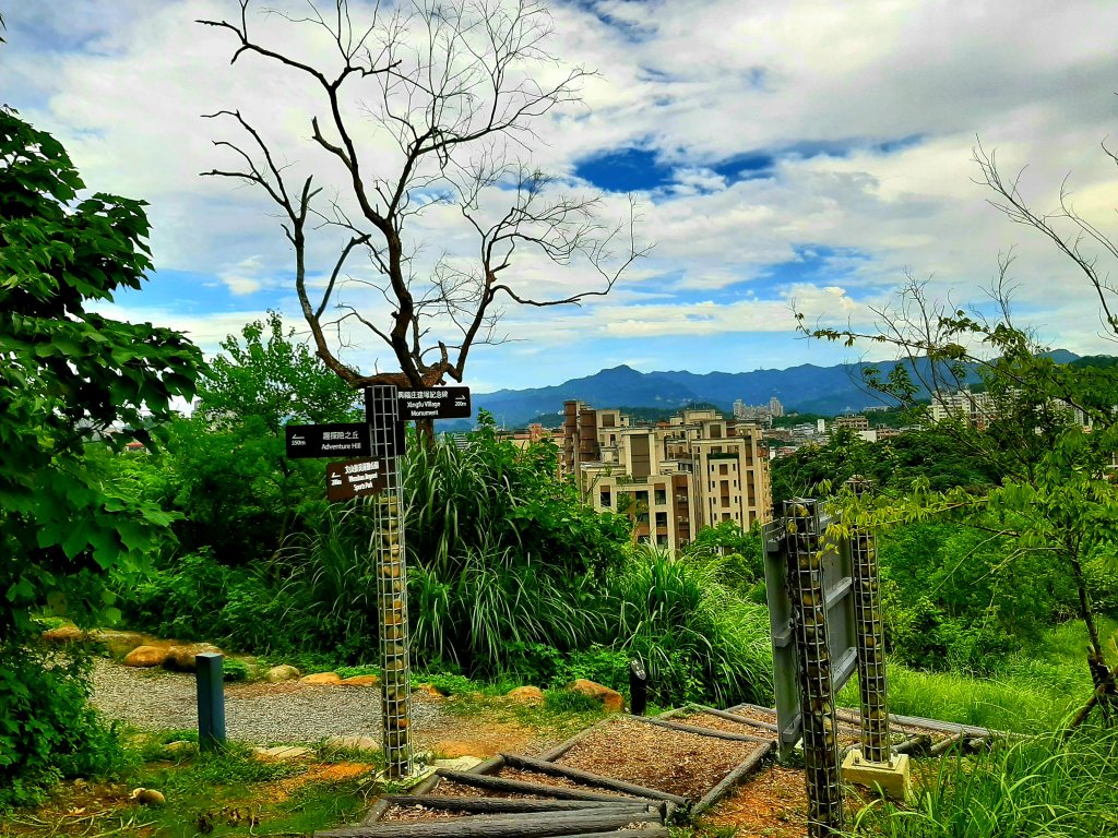 臺北趴趴走｜文山森林、台大、林森、淡水、大安森林、象山_2238219