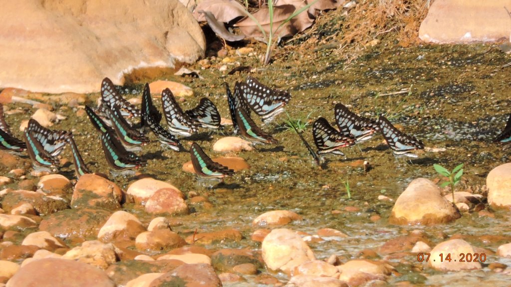 就是喜歡這個藍天白雲的FU_1032943