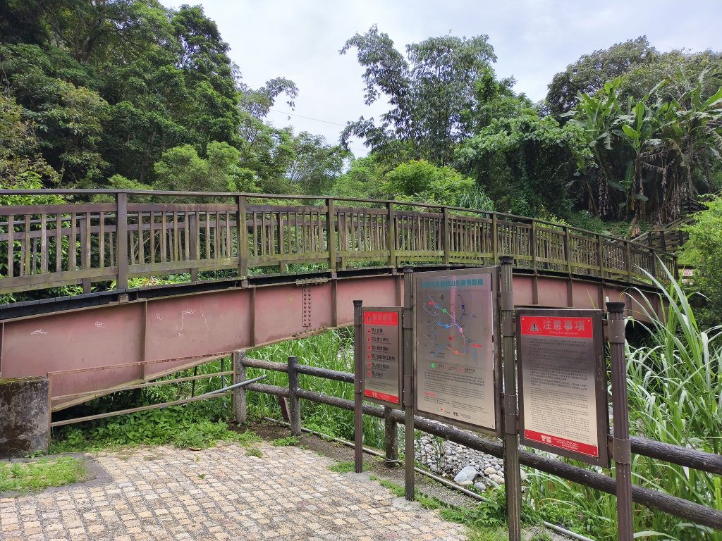 [百山百鳥尋旅-08/15] 2025_0831 大坑1號步道_2876171