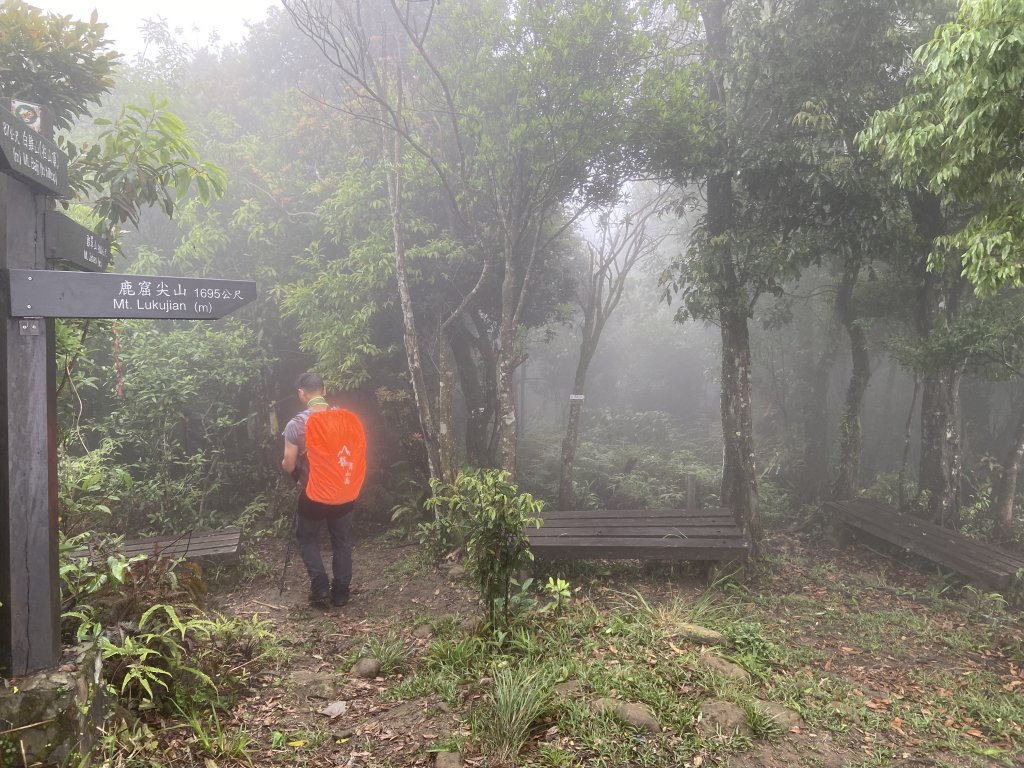 桐花紛飛白雞三山O型_1700578