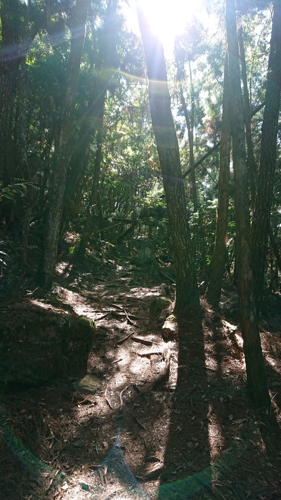 馬崙山 谷關七雄_756455