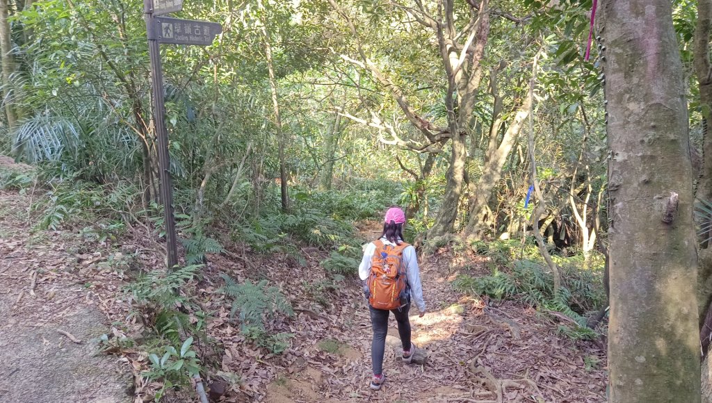 (姨婆趴趴走)第四十八集:新北草嶺古道（福隆車站-大里車站）_2747637