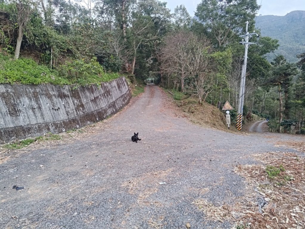 幾阿佐名山_2664561