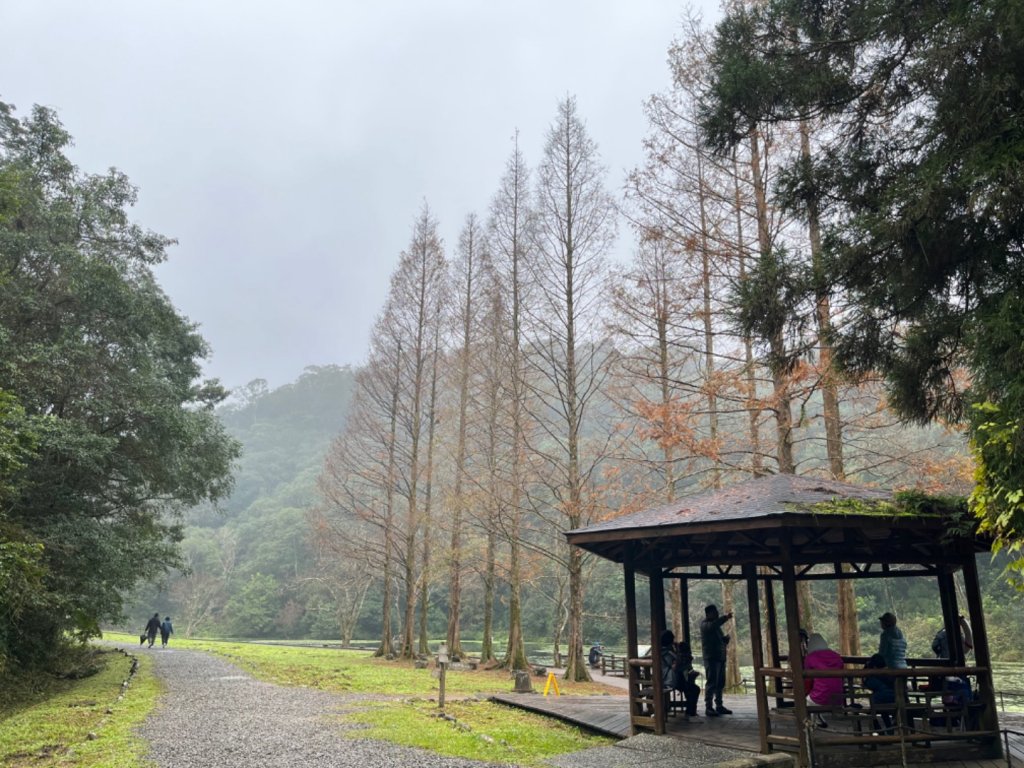 福山植物園🌳 ~需辦理入園申請~封面圖