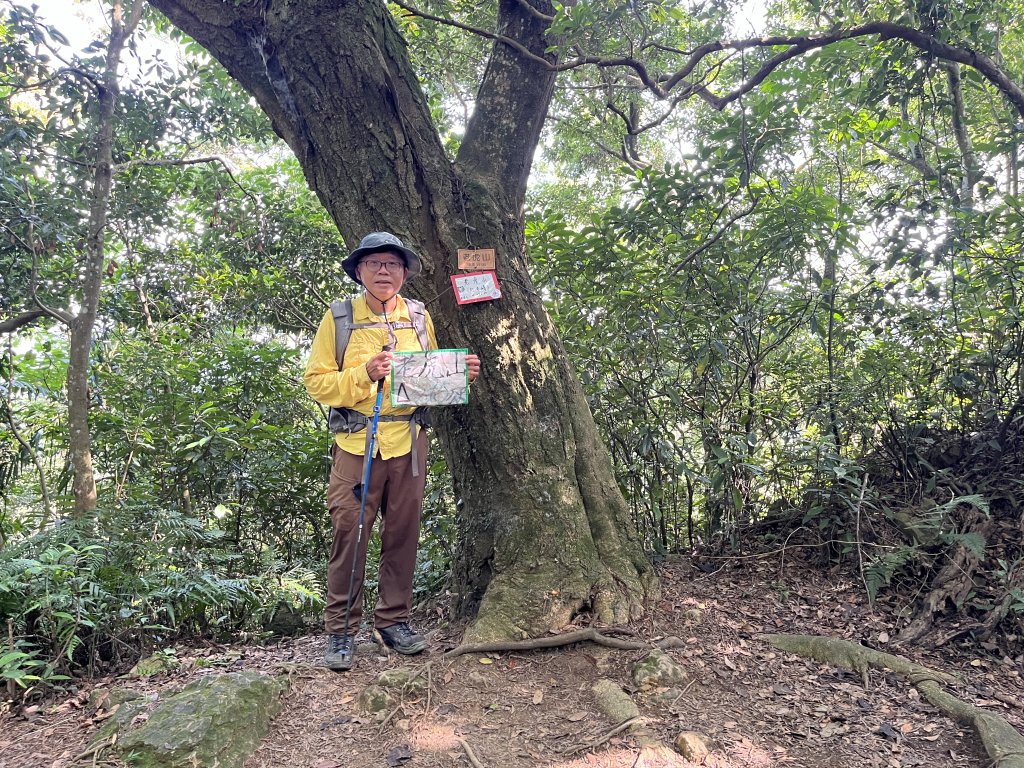 [皮皮獅Hike客任務-01/10] 2024_0720 打牛崎古道封面圖