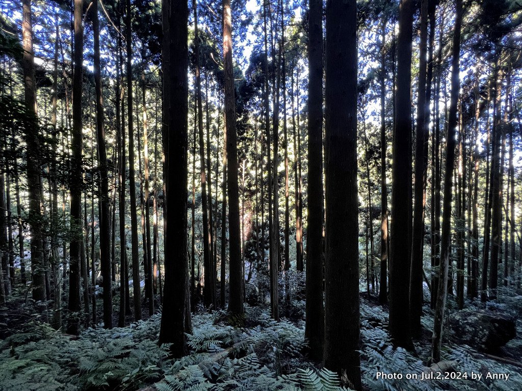 加里山好精彩_2547328