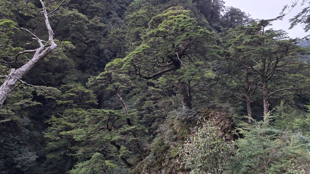 20251026合歡溪步道_2926500