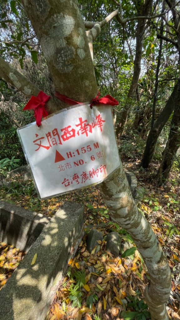 台北大縱走第5段碧山巖～劍潭_2070706