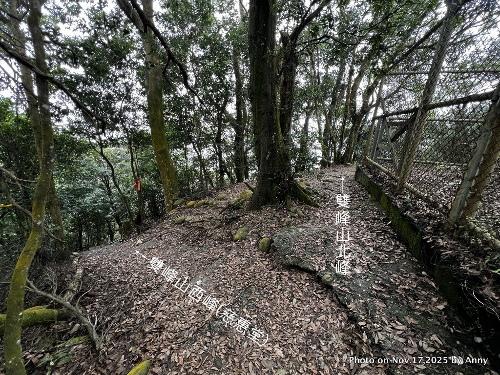 苗栗三員縱走_2942849