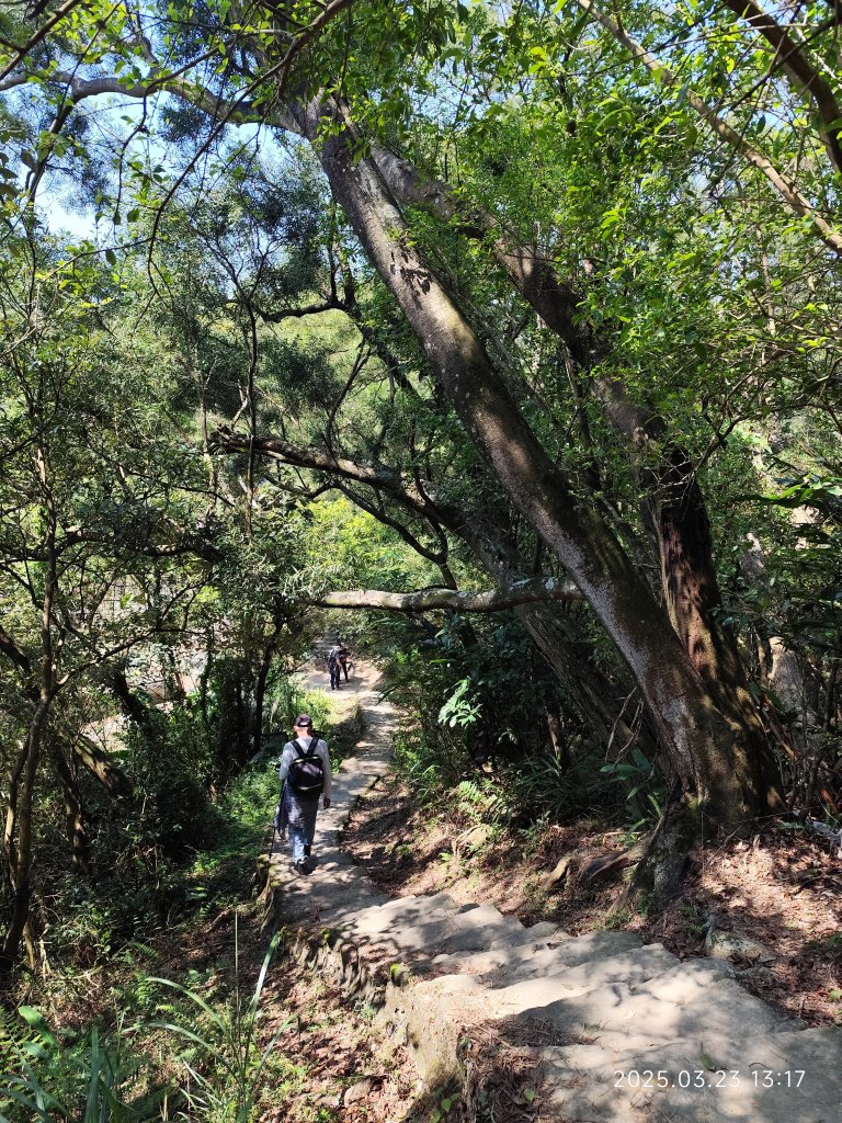 【臺北大縱走 5】碧山巖→忠勇山越嶺步道→金龍產業道路→圓明寺步道→鄭成功廟步道→文間山→劍潭山步道_2744814