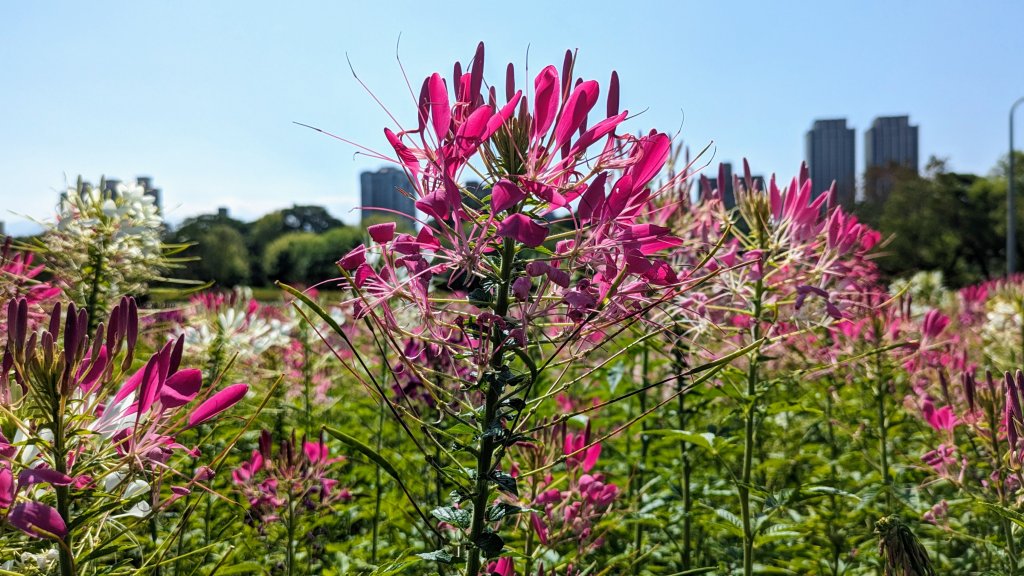 公館,河濱公園,小南門_2423545